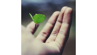 Haltung zu zeigen ist gar nicht so leicht. Wie verhalten sich Marken richtig? Wir haben dazu mit Markenexperte Prof. Dr. Karsten Kilian gesprochen. (Bild: gemeinfrei)