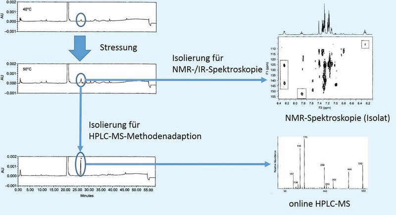 Abb. 1: Vorgehensweise bei der Strukturaufklärung (Analytical Services)