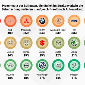 Typisch ... : Ausraster aufgeschlüsselt nach Fahrzeugmarken.(Bild:  CarDelMar)