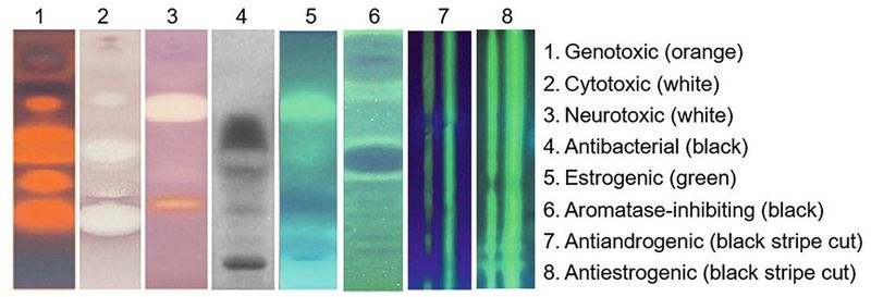 Ein neues Testverfahren weist Mutagene in komplexen Proben nach. Im Bild zu sehen sind (Bio-)Autogramme mit acht verschiedenen Endpunkten zum Nachweis gefährlicher Verbindungen in Parfüms.(Bild:  Gertrud E. Morlock, https://doi.org/10.1016/j.chroma.2025.465946)