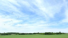 Swarm of UAVs conducting a fully autonomous collaborative swarm mission. (Source: Lockheed Martin)
