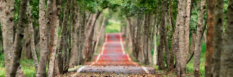 5G-Netze, IoT-Geräte und kollaborative autonome Systeme ebnen den Weg für neue Formen der Kommunikation.(Bild:  gemeinfrei /  Pixabay)