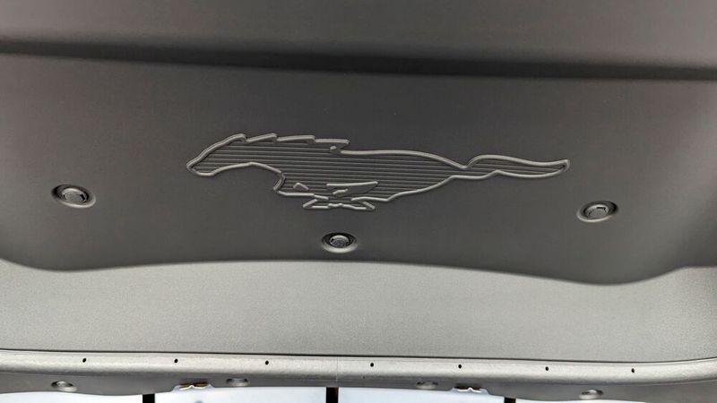 Das Mustang-Logo ist sogar in die Plastikverkleidung der Fronthaube eingeprägt. (Bild: Rosenow – VCG)