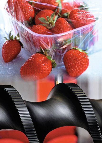 Bild 2: Die Förderschnecke transportiert nicht nur Lebensmittel, sondern kann auch andere Schnecken über die Außenverzahnung antreiben. (Bild Murtfeldt)