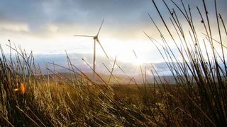 unbenannt (Quelle: Inter IKEA Systems B.V. 2021)