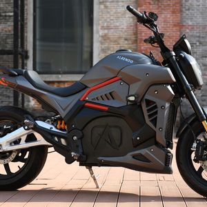 Die Alrendo „TS Bravo“ ist ein vergleichsweise günstiges E-Motorrad.(Bild:  Alrendo)