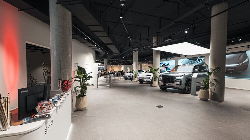 Vom Siebensitzer Tang bis zum Stadtwagen Dolphin reicht die Auswahl. (Bild: Sternauto)