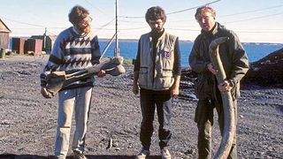 (v.l.) Kiril Kavokin, Sergey Vartanyan, Juha Karhu mit Mammutknochen und -zahn auf der Wrangelinsel (Juha Karhu)
