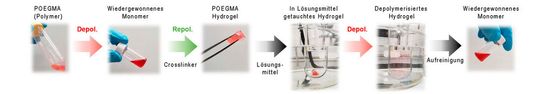 Ablaufschema: Von einem Polymer werden Monomere zurückgewonnen, um damit ein neues Produkt herzustellen, das ebenfalls wieder in seine Bausteine zerlegt werden kann.(Bild:  Wang HS et al, JASC, 2022)