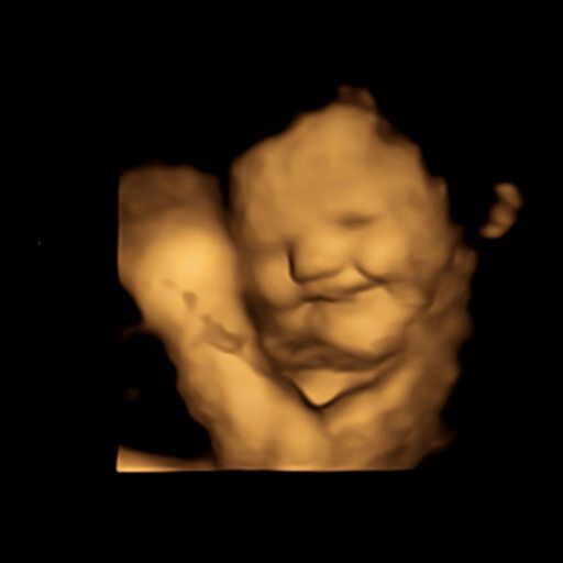 Scientists have recorded the first direct evidence that babies react differently to various smells and tastes while in the womb. Scientists have recorded the first direct evidence that babies react differently to various smells and tastes while in the womb.