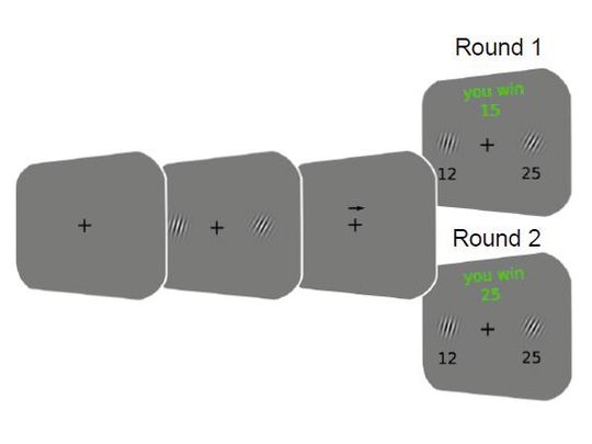 Die Versuchspersonen fokussieren zunächst auf das Kreuz, bevor sie die Neigung der Gabor-Patches in zwei Runden vergleichen.(Bild:  Schaffner et.al. 2023)