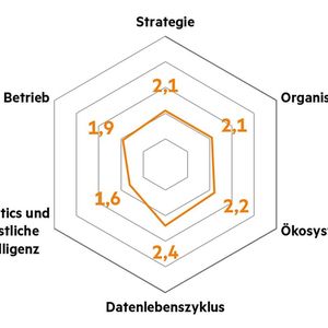 Der Reifegrad wird von HPE anhand von sechs Dimensionen bestimmt.(Bild:  HPE)