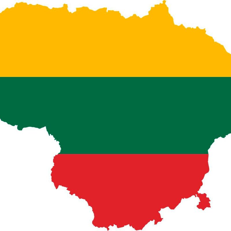 Litauen: Vorreiter in puncto Digitalisierung in der EU