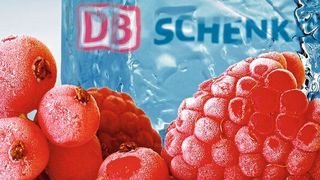 DB Schenker bietet mit seinem globalen Netzwerk in der Frischelogistik einen lückenlosen Door-to-Door-Service und steuert die Kühllogistikkette vom Erzeuger bis zum Einzelhandel. (DB Schenker)