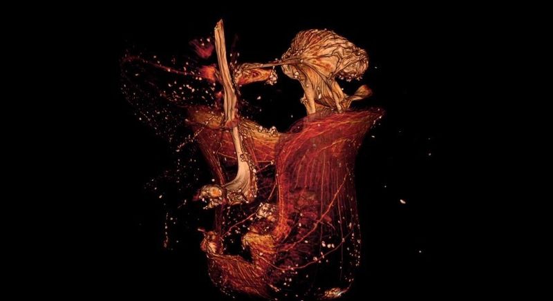 ... um auch deren Inneres erfassen zu können. (Smithsonian)