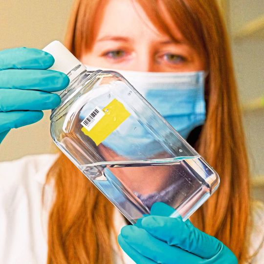 Beispiel einer Trinkwasseranalyse Beispiel einer Trinkwasseranalyse