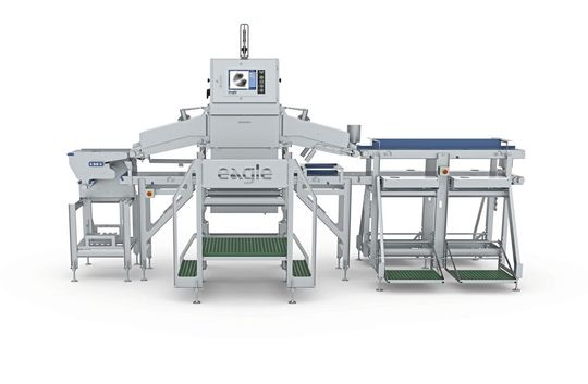 Das Maximizer-RMI-System von Eagle by Mettler-Toledo ist für die Inspektion von rohem Geflügel konzipiert.(Bild:  Mettler-Toledo)
