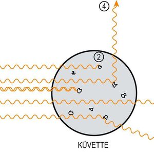 Abb. 1: Verhalten des Lichts in einer Messprobe; 1) Transmission - 2) Absorption - 3) Reflexion - 4) Streuung