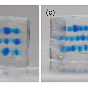 Abbildung 2: PEGDA-basierte Probekörper (5 mm × 5 mm × 4 mm) mit unterschiedlichen Farbstoffdepots: (a) einzelnes Depot, (b) und (c) 13 Depots in drei unterschiedlichen Ebenen, (d) zwei Depots aus zwei unterschiedlichen Farbstoffen. [4](Bild:  Universität Rostock)