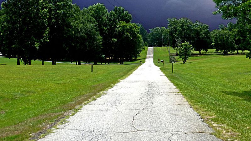 (Bild:  Paw Paws trl, Newberry, SC, USA /Pom' / CC BY-SA 2.0)