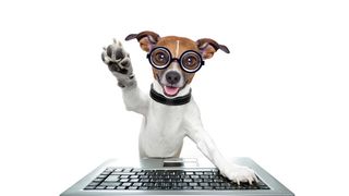 Selbst für Haustiere hält der Gadgets-Markt etwas bereit. (Bild: javier brosch - Fotolia.com)