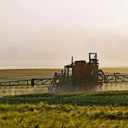 Hazardous amines are not only mixed with dicamba, but also with other herbicides, including 2,4-D and the widely used glyphosate. Hazardous amines are not only mixed with dicamba, but also with other herbicides, including 2,4-D and the widely used glyphosate.