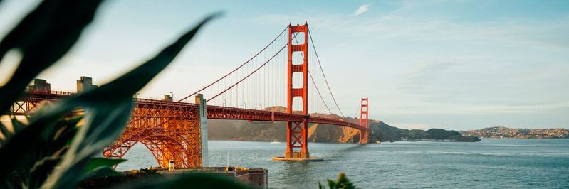 Lukrative datengetriebene Geschäftsmodelle können nicht nur im Silicon Valley entstehen.(Bild:  gemeinfrei / Unsplash)