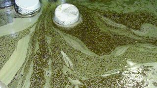 Bild 1: In einer Schleifmaschine mit einem 400-l-Maschinenbehälterinhalt beginnt die Reinigung mit der Mikroflotation. (Bild: IAG Industrie Anlagen Goebel)