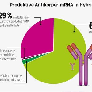 (Quelle: Dübel / TU Braunschweig; Grafik: LABORPRAXIS; Bild: © extender_01 - stock.adobe.com)