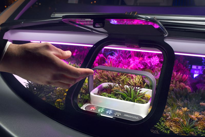 Großstadtdschungel im eigenen Auto: Der Automobilzulieferer Kostal fügt dem Auto das Element Natur hinzu, um es zu einem wirklichen Third Space zu machen. (Rinspeed)