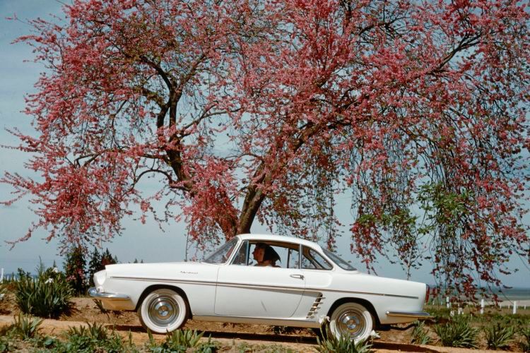 Auf dem US-amerikanischen Markt als Renault Caravelle angeboten, wurde dieses französische Coupé erst als Renault Floride, dann aber auch außerhalb Amerikas als Caravelle verkauft. Der Motor des kleinen Flitzers leistete 36 PS bis 52 PS. Die Karosserie zeichnte Pietro Frua. (Bild: Renault)