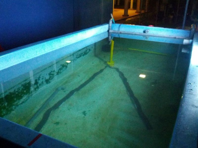 Coconut Pi: Wettbewerb - Pool mit schwarzer Linie und Hindernis (Bild: CoconutPi-Entwickler)