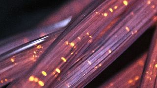 Der Internet Performance Report 2020 belegt eine sprunghafte Zunahme an Cloud-Ausfällen in Folge einer ebenso sprunghaft gestiegenen Nutzung von Home-Office-Lösungen. (Bild: gemeinfrei© Daniel Dino-Slofer)