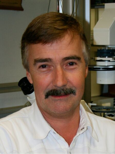 Prof. Dr. Stephan Rohr, Institut für Physiologie, Universität Bern. (zvg)