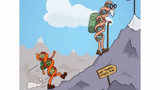 Der Weg zum Fitness-Gipfel: Je jünger die Gene desto schneller passen sie sich an. (Bild: MPI für Evolutionsbiologie)