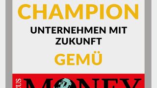 siegel-dt-digital-champion-2024-gem-- (GEMÜ Gebrüder Müller Apparatebau GmbH & Co. KG)