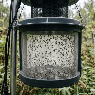 Mückenfalle im Waldeinsatz (Bild: RETSCH / KI-generiert)