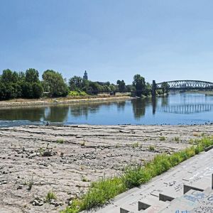 Elbufer am trockengelegten Domfelsen in Magdeburg am 24. Juli 2018.