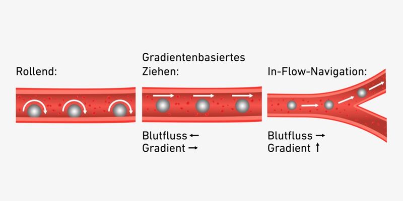 Grafische Darstellung der drei Navigationsvarianten.  (Bild: Luca Donati / ETH Zürich)