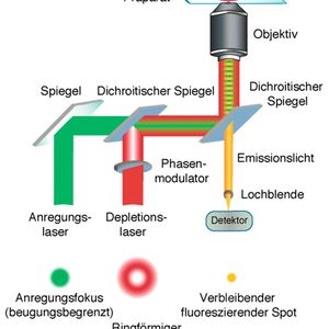 (Bild: Leibniz-Institut für Ostseeforschung/Universitätsmedizin Göttingen)