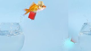 Wer von „IBM Notes“  zu „Microsoft Sharepoint“ wechseln möchte, tut sich etwas an .... wenn nicht Partner und Hilfsmittel bereitständen.  (© grafikplusfoto - stock.adobe.com )