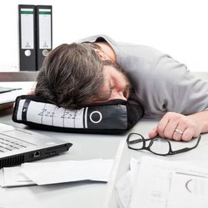 In anderen Ländern gehört ein Mittagsschläfchen längst zum guten Ton, mit dem Bürokissen "Power Nap" können Sie in der Pause ein erholsames Nickerchen einlegen. Falls der Chef einmal hereinschaut, kann man das Kissen auch schnell im Schrank zwischen Ordnern verstecken. Der Luxus hat jedoch seinen Preis: Knapp 24 Euro plus Versand kostet das Plüschkissen bei enjoymedia.ch.