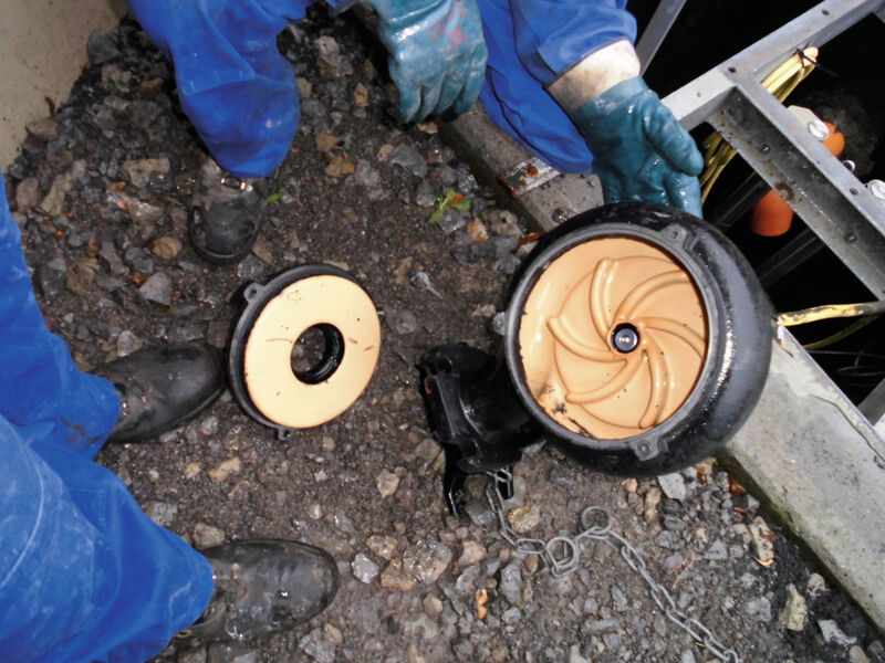 Kläranlagenbetreiber, die den Aufwand einer Phosphatfällung vermeiden wollen, finden in den neuen beschichteten Pumpen von Caprari eine Alternative. (Bild: Caprari)