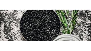 Abb. 1: Kaviar wird meist nur durch Salzzugabe konserviert. (© Artem Shadrin/Fotolia.com)