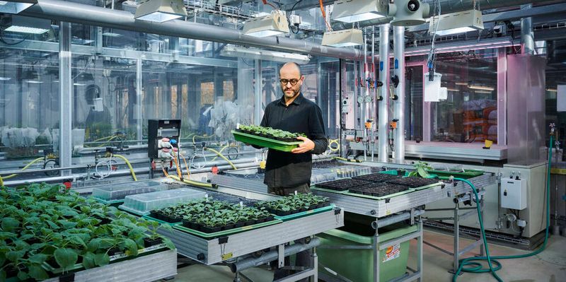 Cyril Zipfel erforscht Peptide, die Pflanzen resistenter gegen Krankheiten und Schädlinge machen könnten.(marclatzel.com)