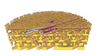 3D-Darstellung der inneren Struktur eines Mikrochips (Prozessor der Firma Intel). Gezeigt ist der Blick direkt auf die Ebene, in der sich die Transistoren befinden. Das Material, das in Gelb dargestellt ist, ist Kupfer – sichtbar sind die Schaltverbindungen des Prozessors, die die einzelnen Transistoren miteinander verbinden. Zur Verdeutlichung wurden einige Verbindungen eingefärbt, deren Anschlüsse durch das untersuchte Volumen verfolgt werden können. Die einzelnen gezeigten Leitungen sind rund 45 Nanometer breit; insgesamt wurde ein Stück eines Prozessors mit rund 10 Mikrometer Durchmesser untersucht. Das Bild wurde mithilfe von Messungen mit Röntgenstrahlen an der Synchrotron Lichtquelle Schweiz SLS des Paul Scherrer Instituts erstellt. (Paul Scherrer Institut/Mirko Holler)