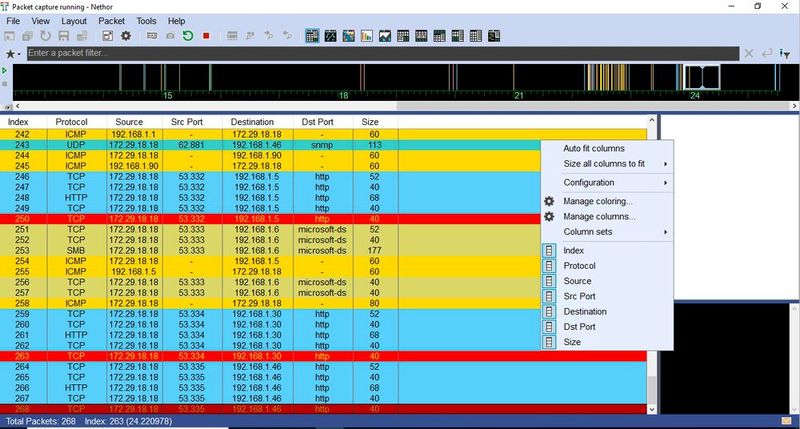Anzeigen der Pakete, die Nethor im Rahmen des Capture-Vorgangs aufzeichnet. (Bild: Joos - Nethor)