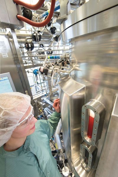 Die Nährlösung, in der die Zellen vermehrt werden, schimmert rötlich. (Bild: Sanofi)