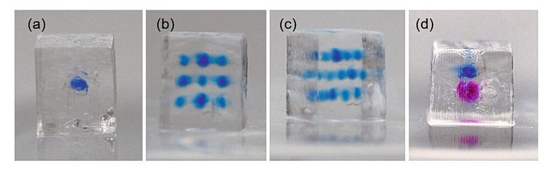 Abbildung 2: PEGDA-basierte Probekörper (5 mm × 5 mm × 4 mm) mit unterschiedlichen Farbstoffdepots: (a) einzelnes Depot, (b) und (c) 13 Depots in drei unterschiedlichen Ebenen, (d) zwei Depots aus zwei unterschiedlichen Farbstoffen. [4] (Bild: Universität Rostock)