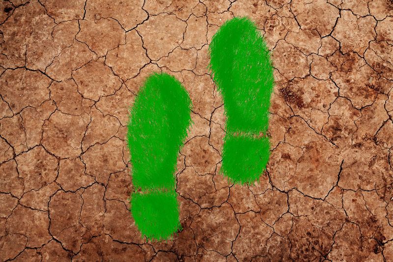 Welchen (Material)Fußabdruck wir auf dem Planeten hinterlassen, hängt von unserem Ressourcenverbrauch ab (Symbolbild). (Pixabay/ PublicDomainPictures, ElisaRiva)
